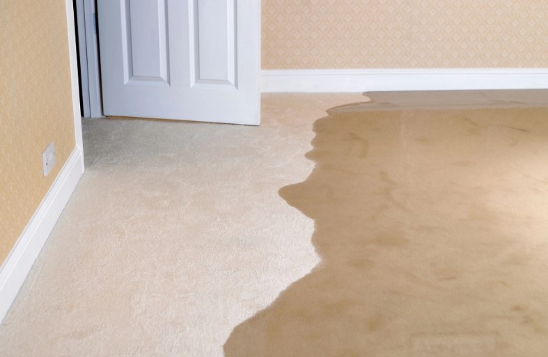 Learn About Water Damage Basics